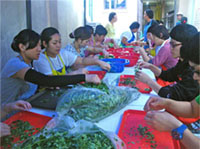 Serving school lunch