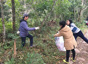 Cleaning of the local forest park